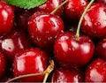 Cherry SOUR powder: 1 Kg bag