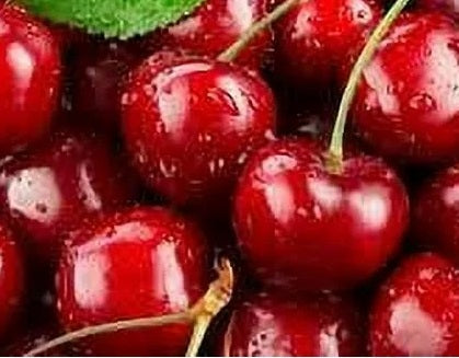 CHERRY SYRUP: 2.5 Kg bottle