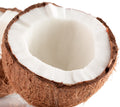 Coconut CREAM powder: 1 Kg bag