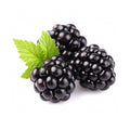 MULBERRY Jam 1 kg