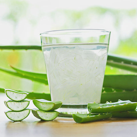 Aloe Vera: INSTANT 3 Kg Canned