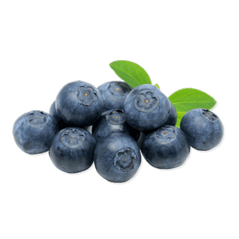Blueberry SOUR powder: 10 Kg CASE
