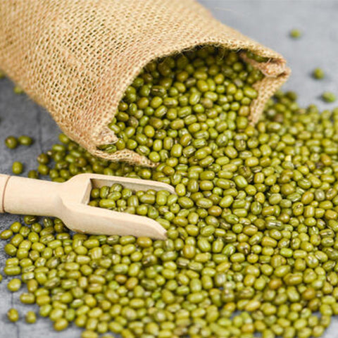 GREEEN Beans ( 4 kg Can )