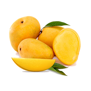 Mango CREAM powder: 15 Kg CASE